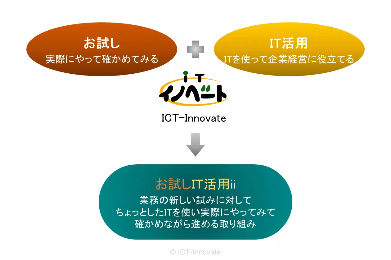 お試しIT活用iiとは